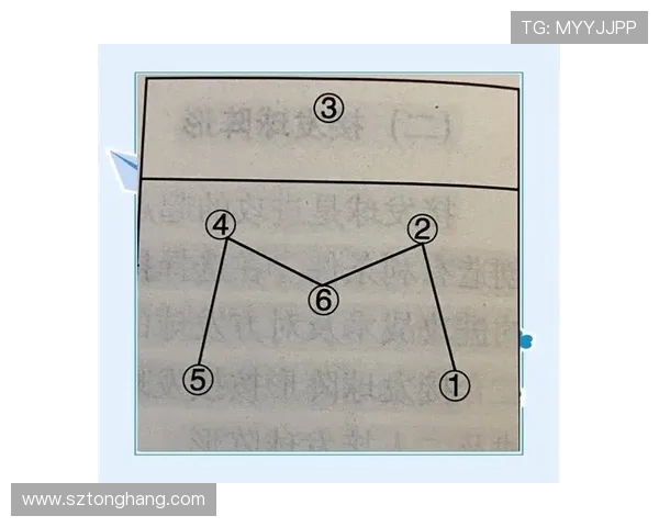 北京排球队边路渗透战术解析与实践探讨